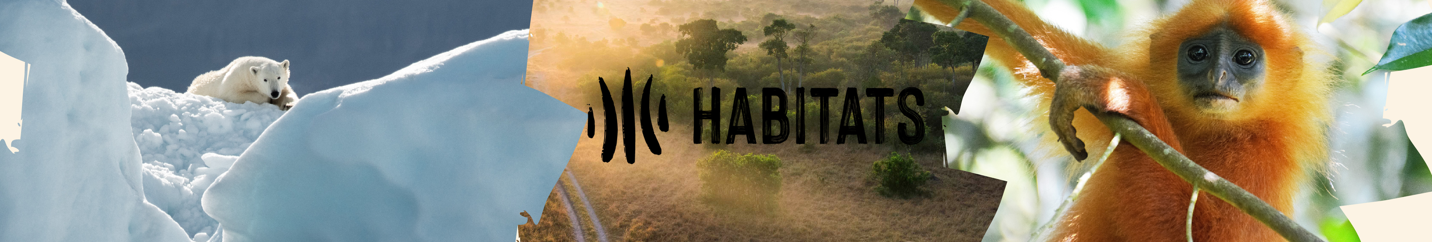Habitats Foundation