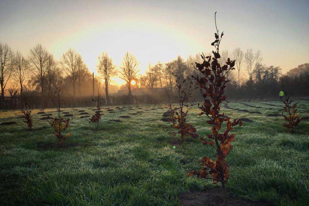 Bosgroep Oost-Vlaanderen