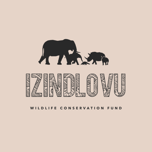 Izindlovu Fund logo