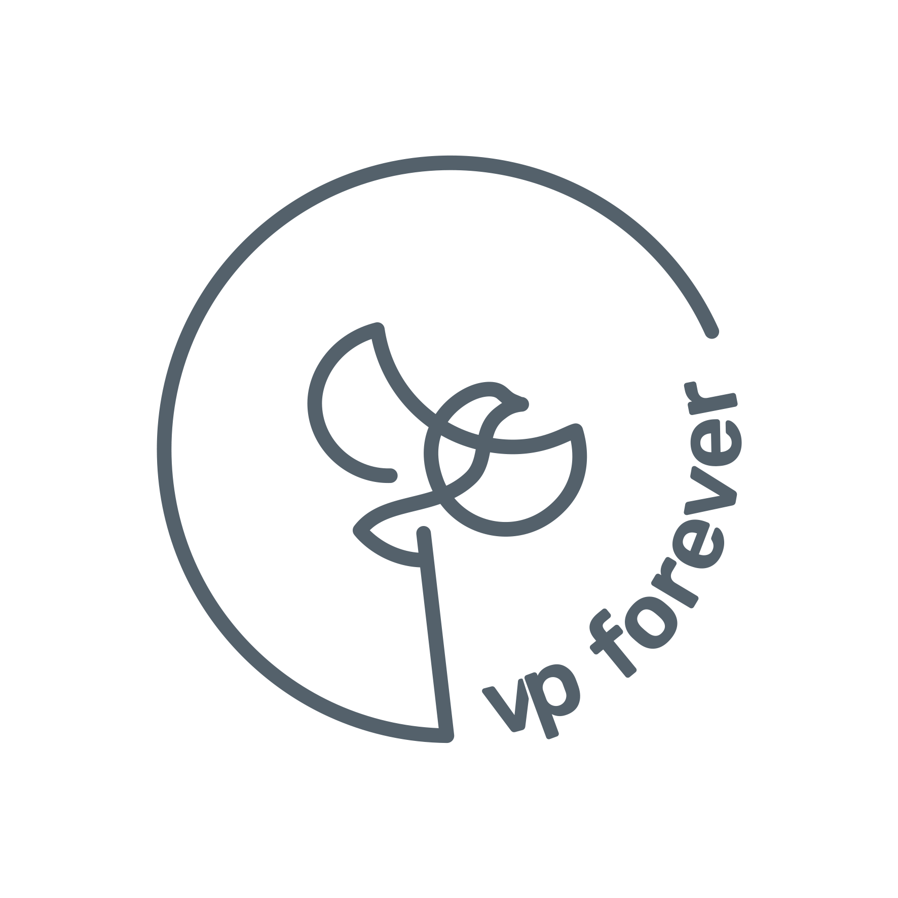 Volunteer Programs Forever logo