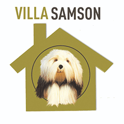 Villa Samson logo