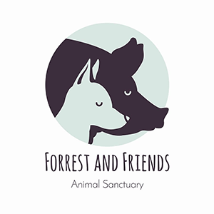 Forrest & Friends vzw logo