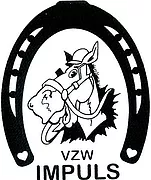 vzw Impuls logo