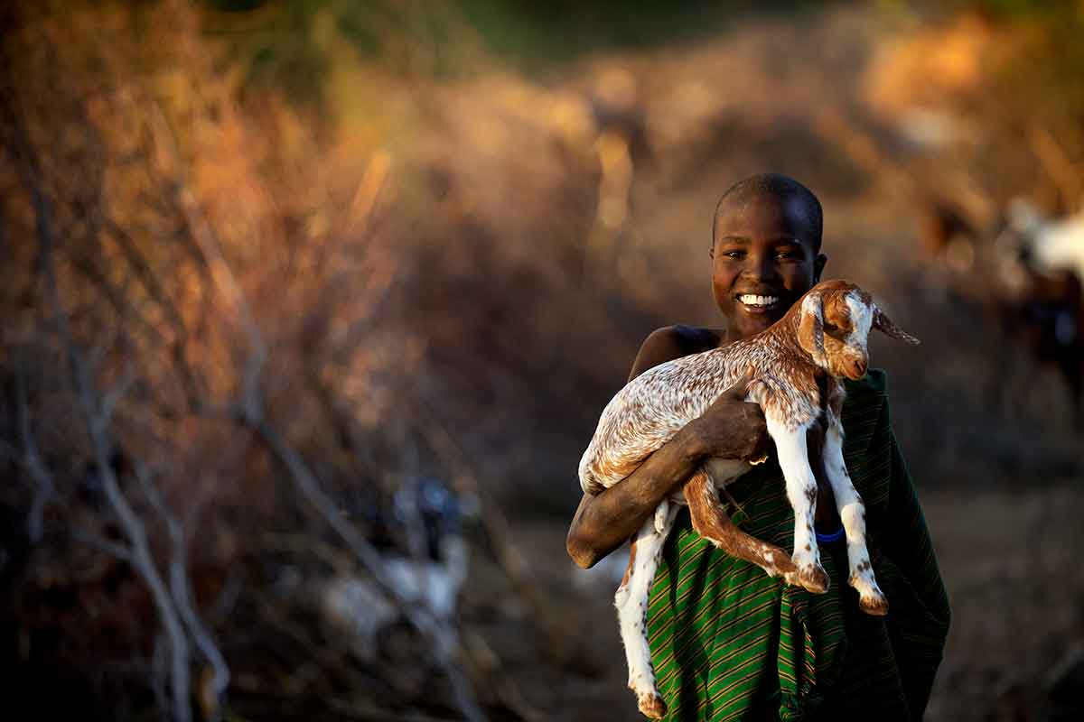 Dierenartsen Zonder Grenzen