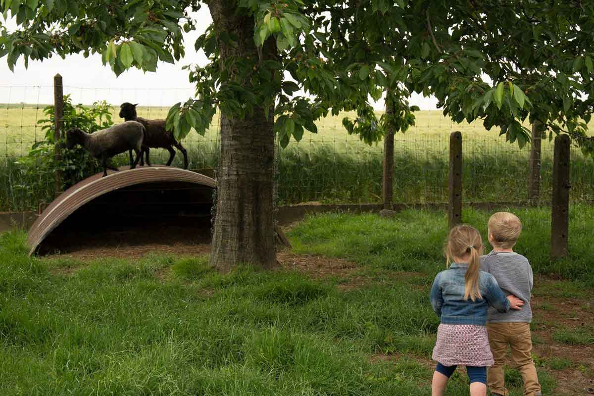 Leefboerderij Suskewiet Zwalm Vzw