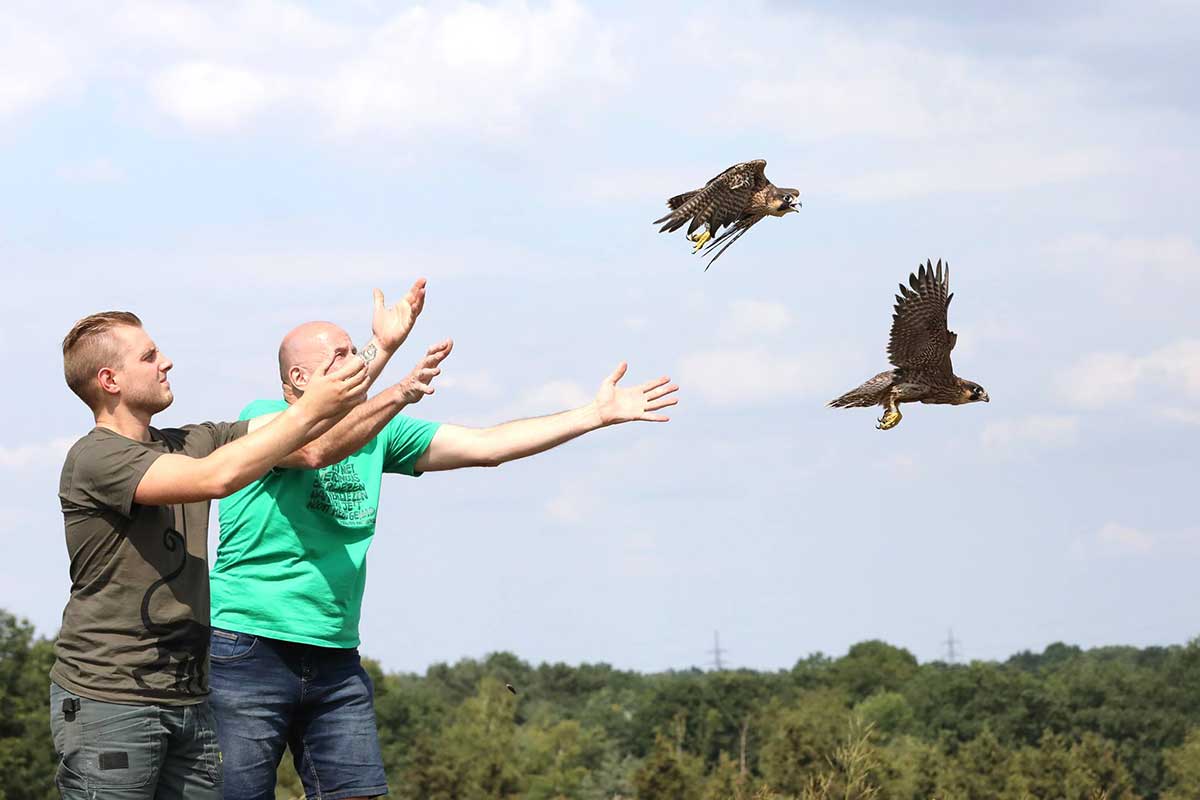 Natuurhulpcentrum vzw