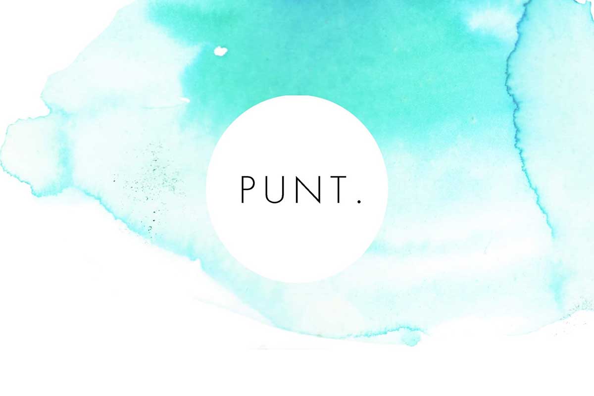 PUNT. vzw